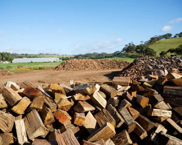 Redgum Firewood